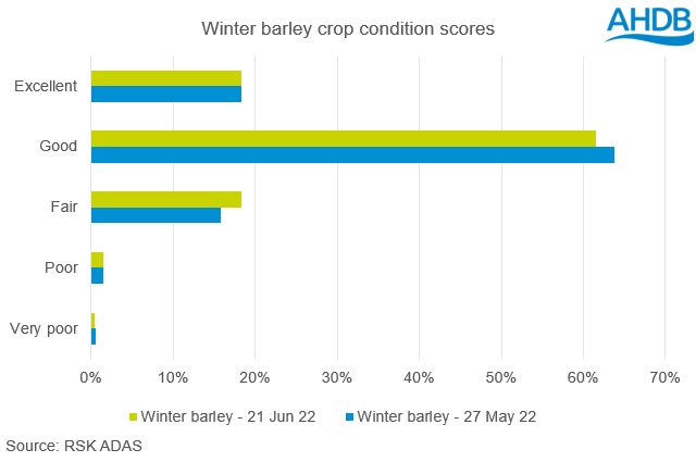 winter barley 21 jun 22